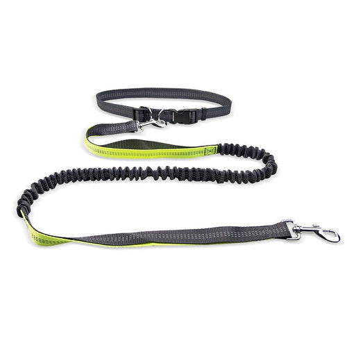 Hands-Free Dog Walking Belt – Detachable Shock-Absorbing Leash Included